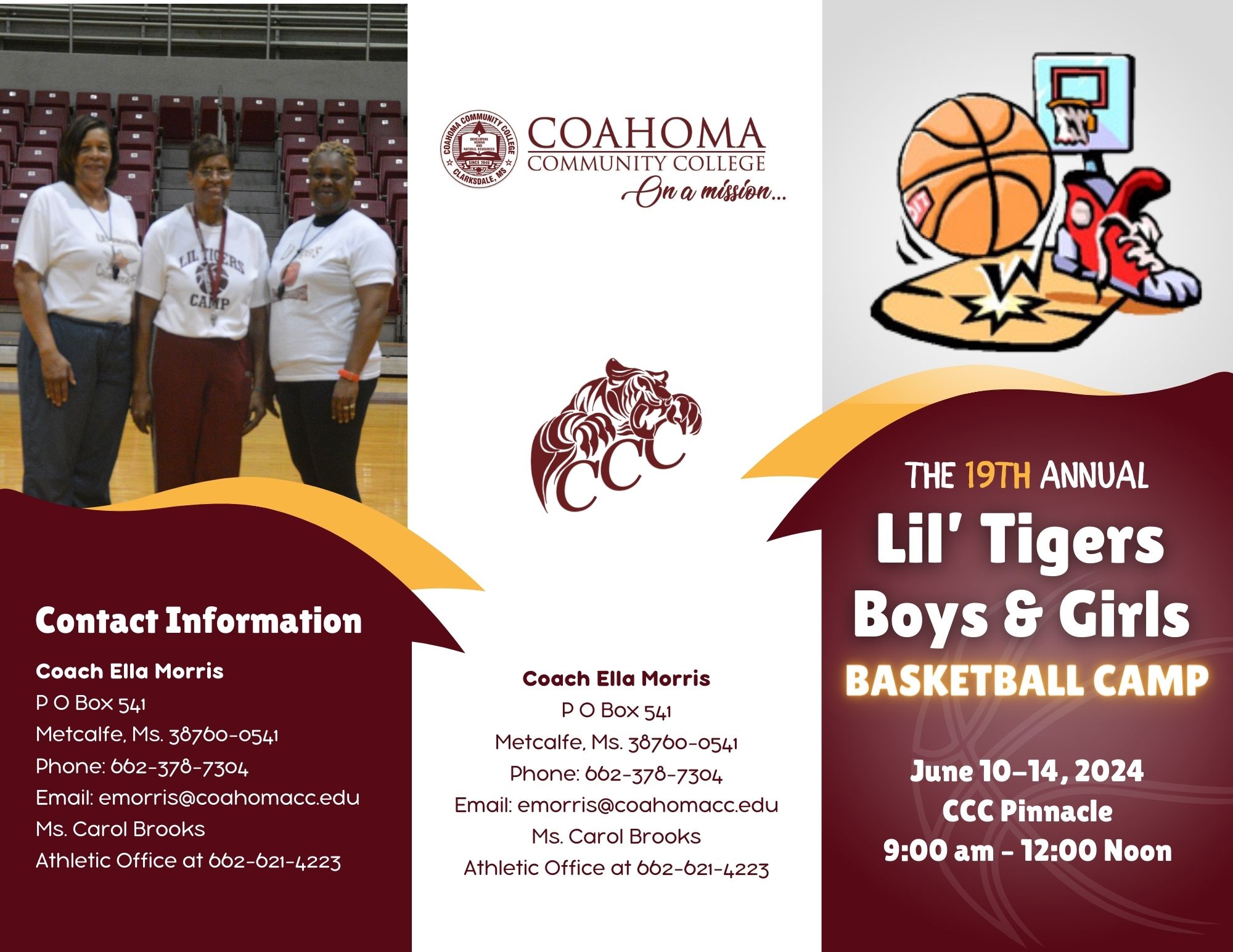 Lil Tigers Basketball Camp Brochure